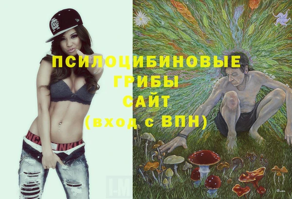 СК Алзамай