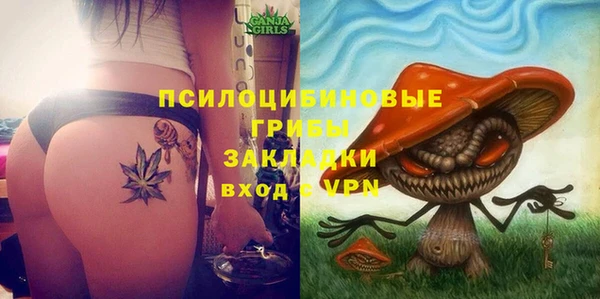 СК Алзамай
