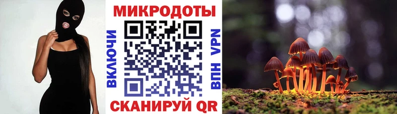 KRAKEN ТОР дарнет шоп Юрьевец Галлюциногенные грибы мицелий